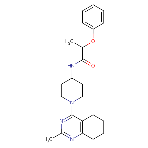 N-[1-(2-methyl-5,6,7,8-tetrahydroquinazolin-4-yl)piperidin-4-yl]-2-phenoxypropanamide