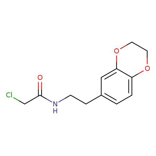 2-chloro-N-[2-(2,3-dihydro-1,4-benzodioxin-6-yl)ethyl]acetamide