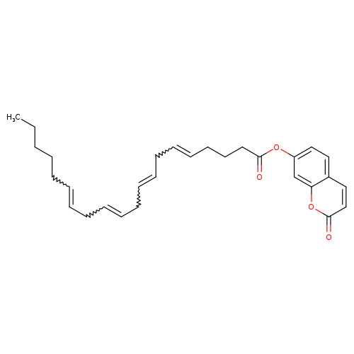 5,8,11,14-Eicosatetraenoic acid, 2-oxo-2H-1-benzopyran-7-yl ester, (5Z,8Z,11Z,14Z)-