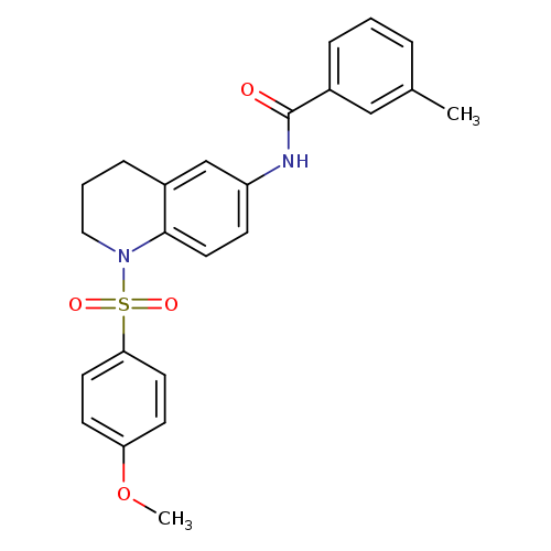 N-[1-(4-methoxybenzenesulfonyl)-1,2,3,4-tetrahydroquinolin-6-yl]-3-methylbenzamide