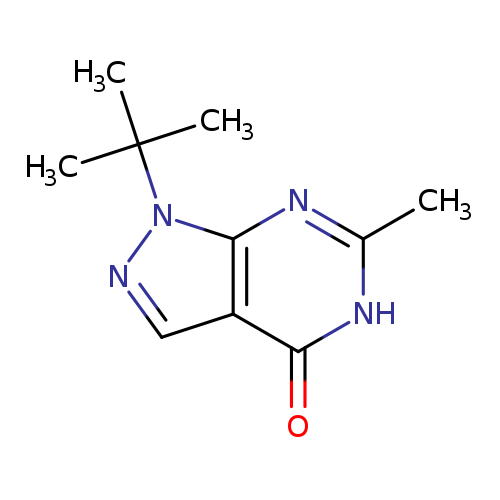1-tert-butyl-6-methyl-1H,4H,5H-pyrazolo[3,4-d]pyrimidin-4-one