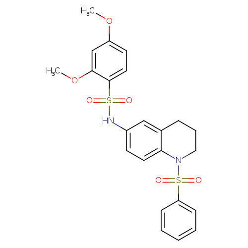 N-[1-(benzenesulfonyl)-1,2,3,4-tetrahydroquinolin-6-yl]-2,4-dimethoxybenzene-1-sulfonamide