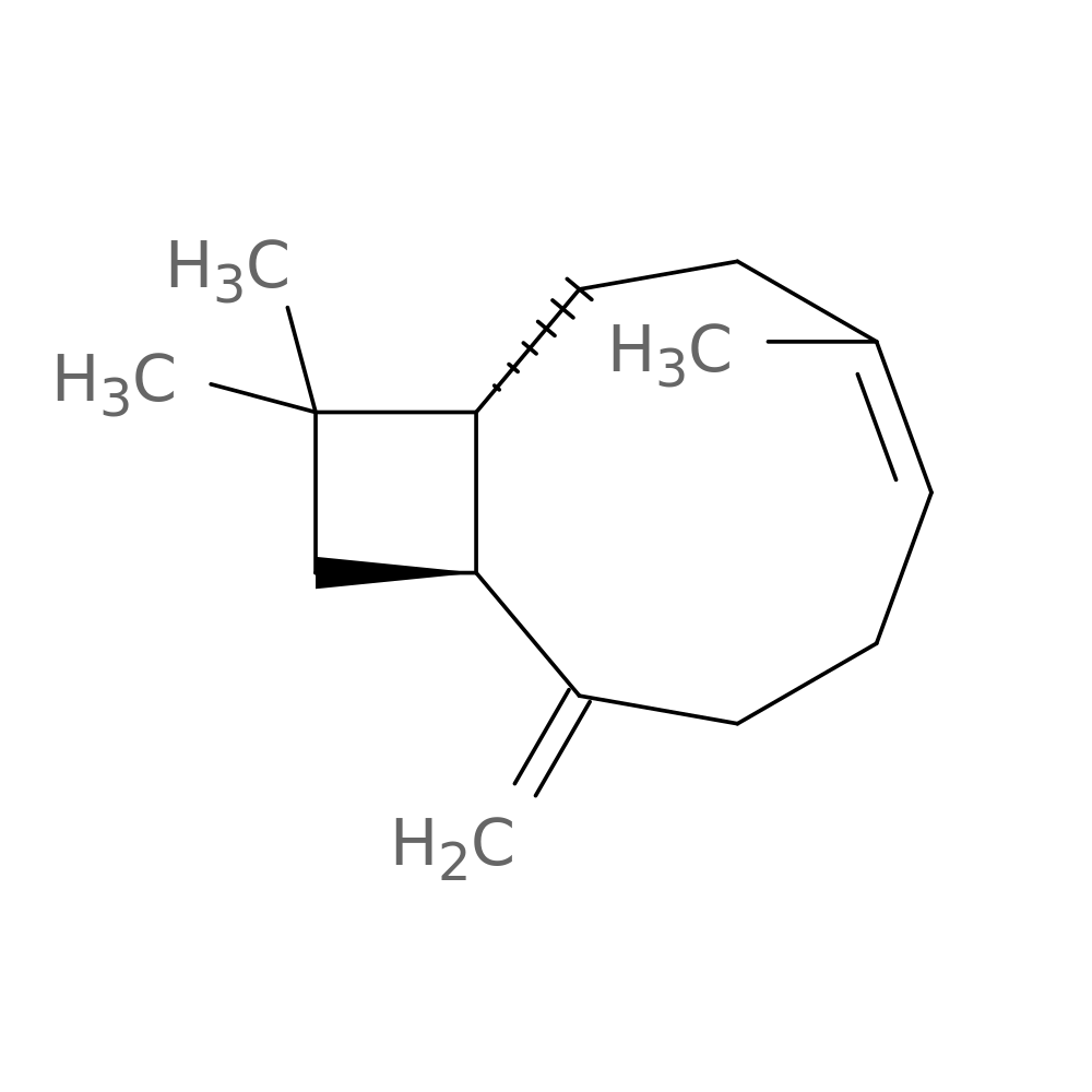 β-Caryophyllene