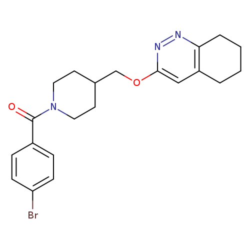 3-{[1-(4-bromobenzoyl)piperidin-4-yl]methoxy}-5,6,7,8-tetrahydrocinnoline