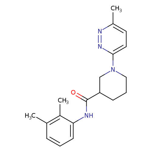 N-(2,3-dimethylphenyl)-1-(6-methylpyridazin-3-yl)piperidine-3-carboxamide
