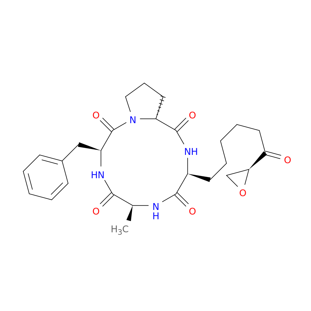 AlaninechlaMydocin, 1-