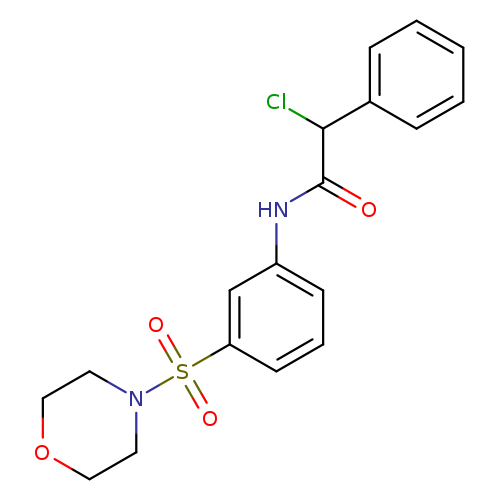2-chloro-N-[3-(morpholine-4-sulfonyl)phenyl]-2-phenylacetamide