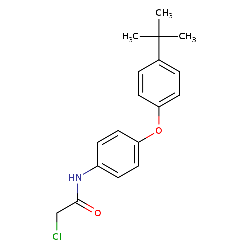N-[4-(4-tert-Butylphenoxy)phenyl]-2-chloroacetamide