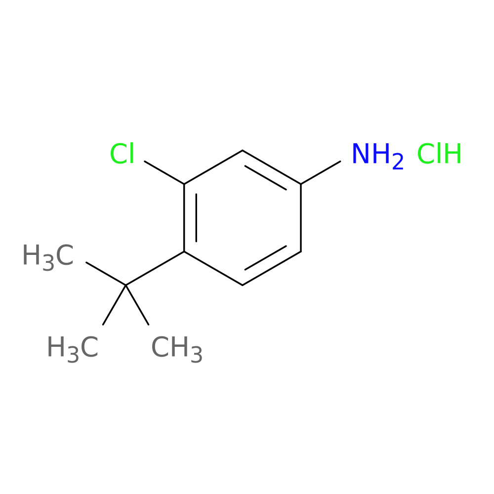 4-tert-butyl-3-chloroaniline hydrochloride
