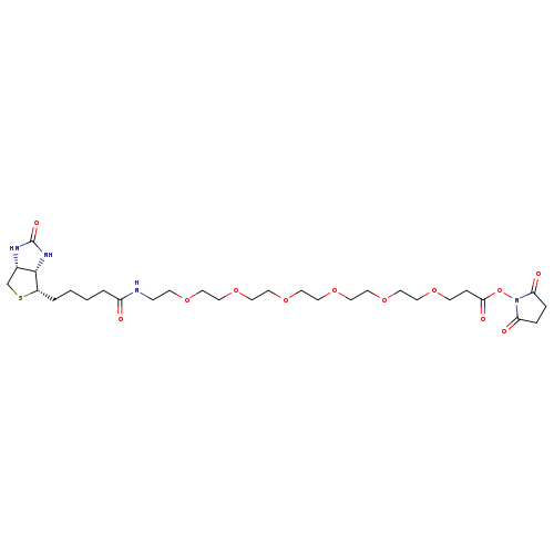 (+)-Biotin-PEG6-NHS Ester