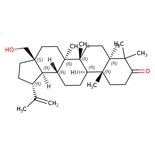 3-Oxobetulin