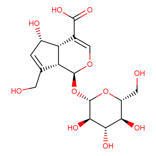 (1S,4aS,5S,7aS)-1-(b-D-Glucopyranosyloxy)-1,4a,5,7a-tetrahydro-5-hydroxy-7-(hydroxymethyl)cyclopenta[c]pyran-4-carboxylic acid