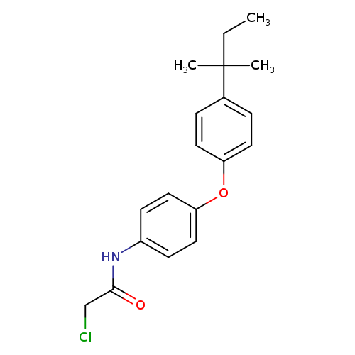 2-chloro-N-{4-[4-(2-methylbutan-2-yl)phenoxy]phenyl}acetamide