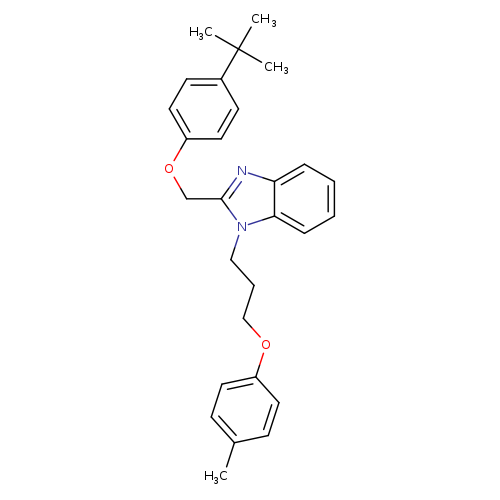 2-[(4-tert-butylphenoxy)methyl]-1-[3-(4-methylphenoxy)propyl]-1H-1,3-benzodiazole