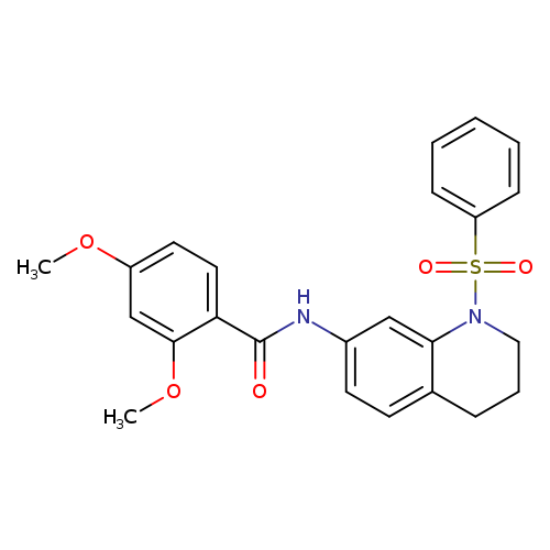 N-[1-(benzenesulfonyl)-1,2,3,4-tetrahydroquinolin-7-yl]-2,4-dimethoxybenzamide