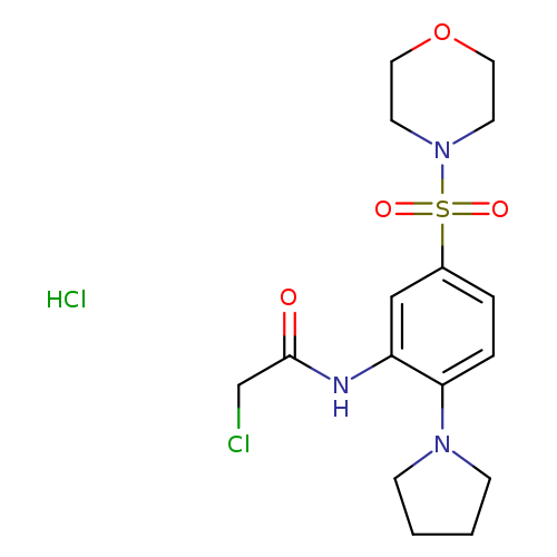 2-CHLORO-N-[5-(MORPHOLIN-4-YLSULFONYL)-2-PYRROLIDIN-1-YLPHENYL]ACETAMIDE HYDROCHLORIDE