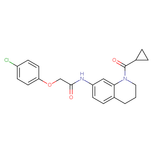 2-(4-chlorophenoxy)-N-(1-cyclopropanecarbonyl-1,2,3,4-tetrahydroquinolin-7-yl)acetamide