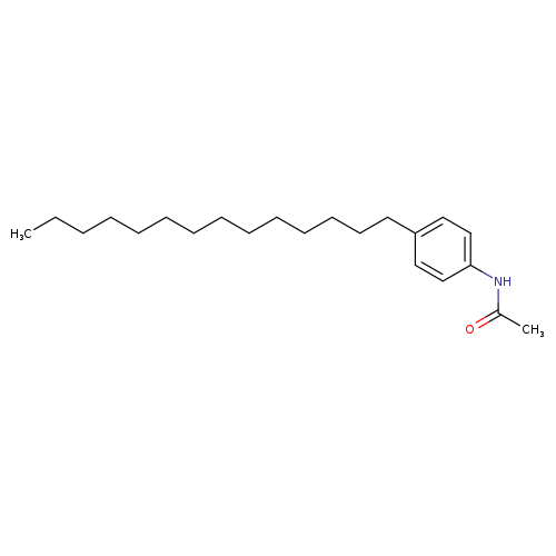 N-(4-Tetradecylphenyl)acetamide