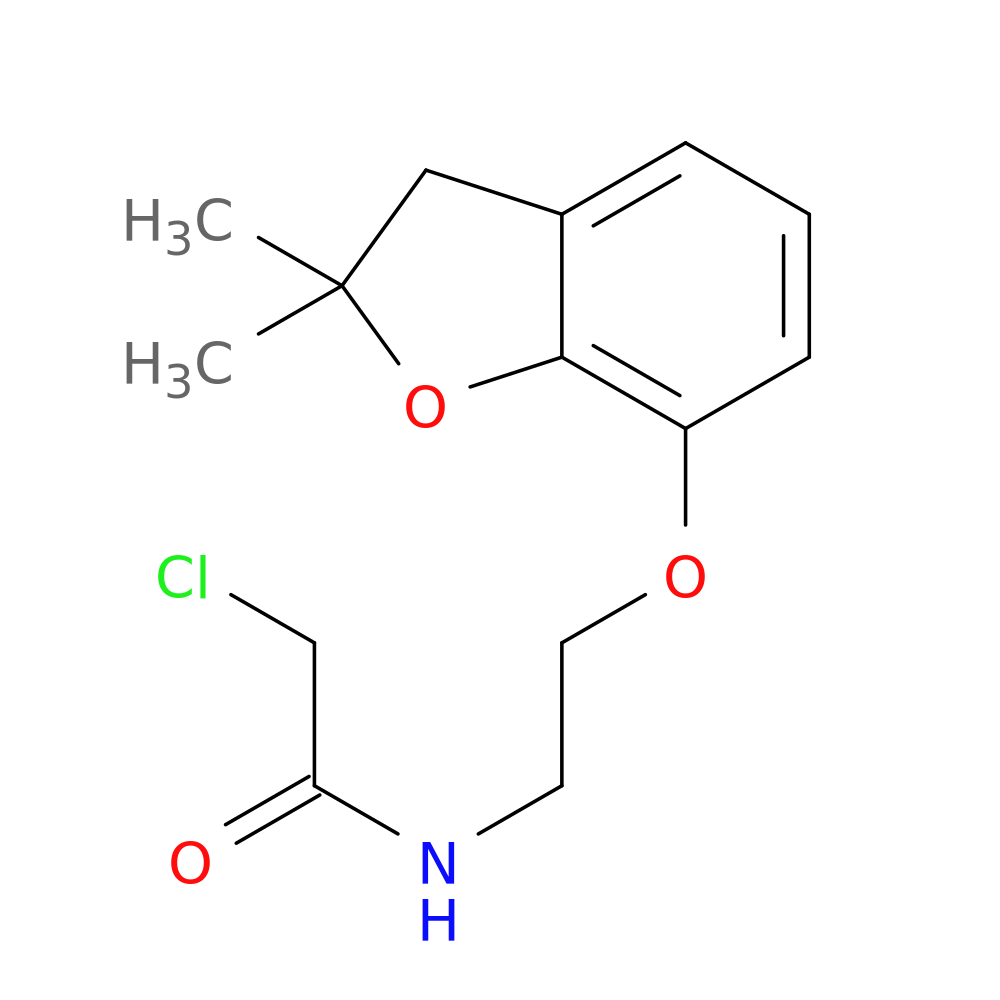 2-chloro-N-{2-[(2,2-dimethyl-2,3-dihydro-1-benzofuran-7-yl)oxy]ethyl}acetamide