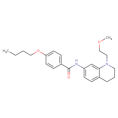4-butoxy-N-[1-(2-methoxyethyl)-1,2,3,4-tetrahydroquinolin-7-yl]benzamide