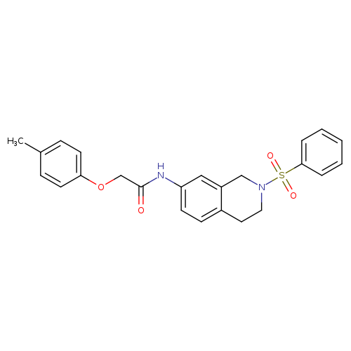 N-[2-(benzenesulfonyl)-1,2,3,4-tetrahydroisoquinolin-7-yl]-2-(4-methylphenoxy)acetamide