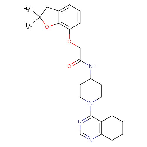 2-[(2,2-dimethyl-2,3-dihydro-1-benzofuran-7-yl)oxy]-N-[1-(5,6,7,8-tetrahydroquinazolin-4-yl)piperidin-4-yl]acetamide