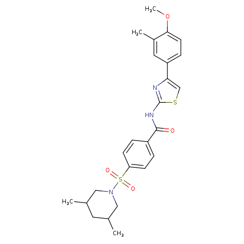 4-[(3,5-dimethylpiperidin-1-yl)sulfonyl]-N-[4-(4-methoxy-3-methylphenyl)-1,3-thiazol-2-yl]benzamide