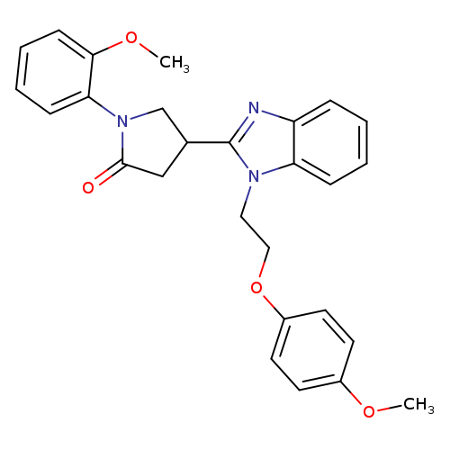 4-{1-[2-(4-methoxyphenoxy)ethyl]-1H-1,3-benzodiazol-2-yl}-1-(2-methoxyphenyl)pyrrolidin-2-one