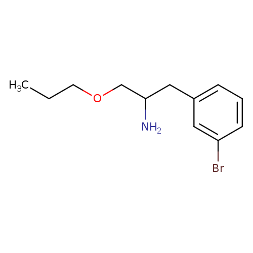1-(3-bromophenyl)-3-propoxypropan-2-amine