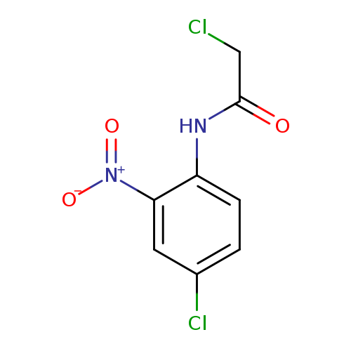 2-Chloro-N-(4-chloro-2-nitrophenyl)acetamide