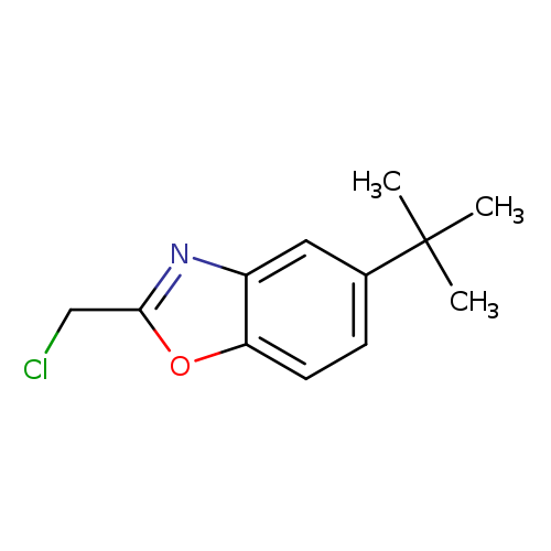 (5-tert-Butyl-1,3-benzoxazol-2-yl)methylamine hydrochloride