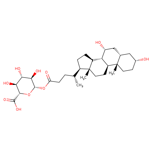 1-[(3α,5β,7α)-3,7-Dihydroxycholan-24-oate] β-D-Glucopyranuronic Acid