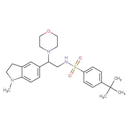 4-tert-butyl-N-[2-(1-methyl-2,3-dihydro-1H-indol-5-yl)-2-(morpholin-4-yl)ethyl]benzene-1-sulfonamide