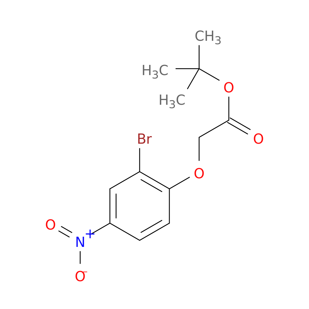 (2-Bromo-4-nitro-phenoxy)-acetic acid tert-butyl ester