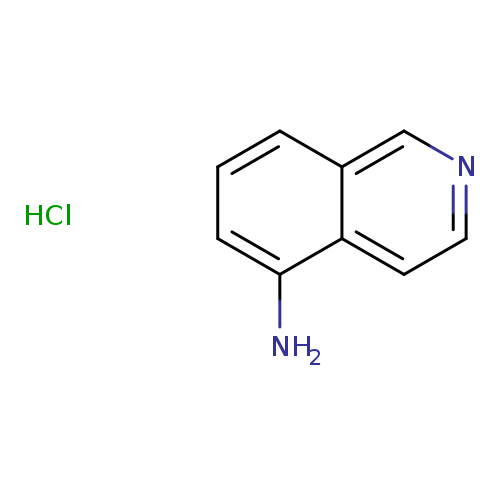 5-Aminoisoquinoline,hcl