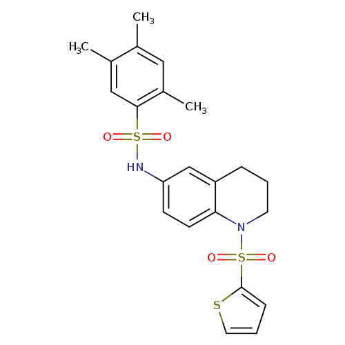 2,4,5-trimethyl-N-[1-(thiophene-2-sulfonyl)-1,2,3,4-tetrahydroquinolin-6-yl]benzene-1-sulfonamide