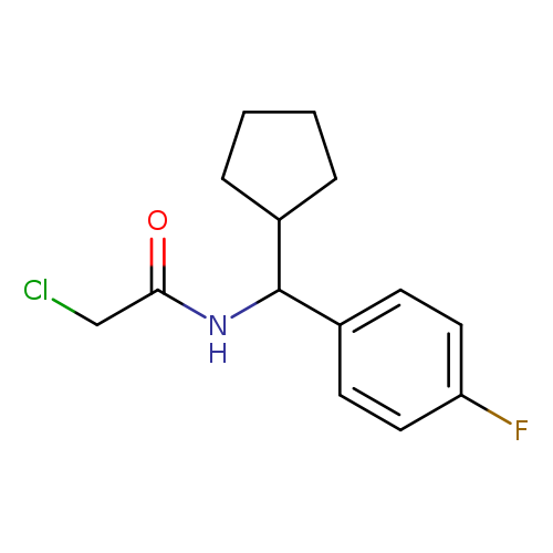 2-chloro-N-[cyclopentyl(4-fluorophenyl)methyl]acetamide