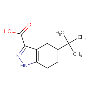 5-tert-Butyl-4,5,6,7-tetrahydro-1H-indazole-3-carboxylic acid