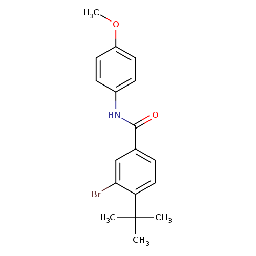 3-bromo-4-tert-butyl-N-(4-methoxyphenyl)benzamide