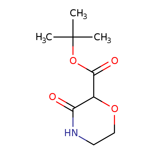 tert-butyl 3-oxomorpholine-2-carboxylate