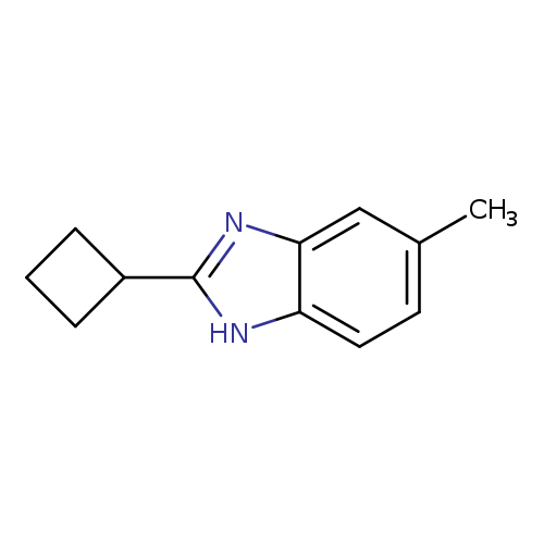 2-Cyclobutyl-5-methyl-1h-benzimidazole