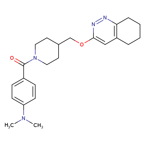N,N-dimethyl-4-{4-[(5,6,7,8-tetrahydrocinnolin-3-yloxy)methyl]piperidine-1-carbonyl}aniline