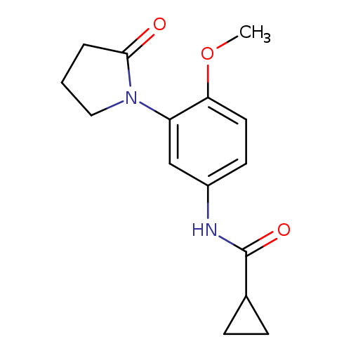 N-[4-methoxy-3-(2-oxopyrrolidin-1-yl)phenyl]cyclopropanecarboxamide