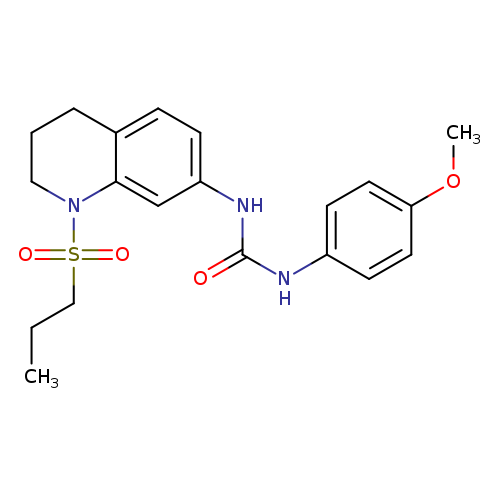 1-(4-methoxyphenyl)-3-[1-(propane-1-sulfonyl)-1,2,3,4-tetrahydroquinolin-7-yl]urea