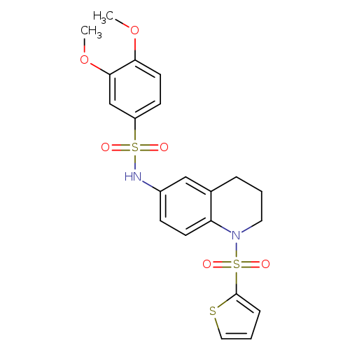 3,4-dimethoxy-N-[1-(thiophene-2-sulfonyl)-1,2,3,4-tetrahydroquinolin-6-yl]benzene-1-sulfonamide