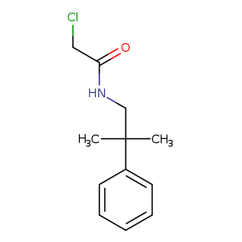 2-chloro-N-(2-methyl-2-phenylpropyl)acetamide