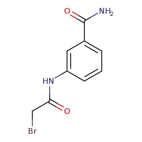 3-[(2-Bromoacetyl)amino]benzamide