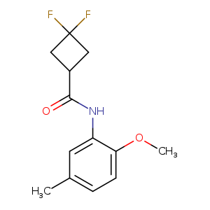 3,3-difluoro-N-(2-methoxy-5-methylphenyl)cyclobutane-1-carboxamide