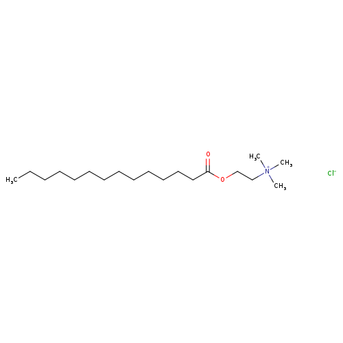 N,N,N-Trimethyl-2-(tetradecanoyloxy)ethanaminium chloride