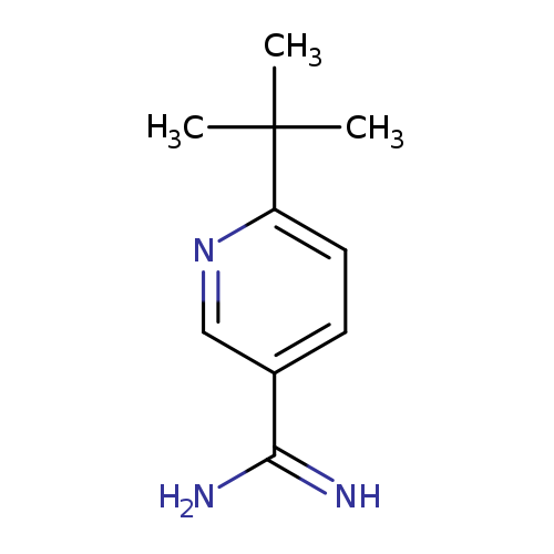 6-tert-butylpyridine-3-carboximidamide